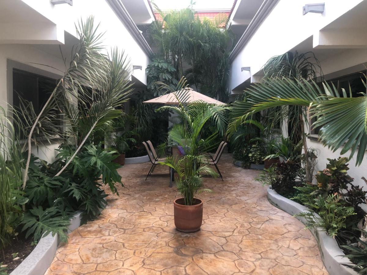 Mayan Caribe Apart-Hotel Playa del Carmen Dış mekan fotoğraf