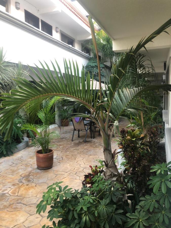 Mayan Caribe Apart-Hotel Playa del Carmen Dış mekan fotoğraf
